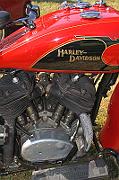 IMG_6031eR