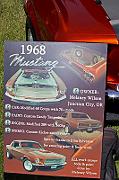 IMG_6057eR