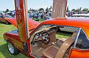 IMG_6359eRR