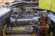 IMG_6376eR