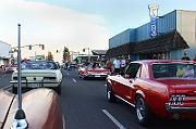 IMG_8554eR
