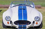 IMG_6011eR