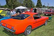 IMG_6131eR