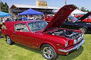 IMG_6195eR