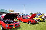 IMG_6235eR