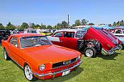 IMG_6259eR