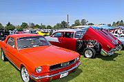 IMG_6260eR