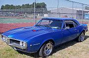 IMG_6575eR